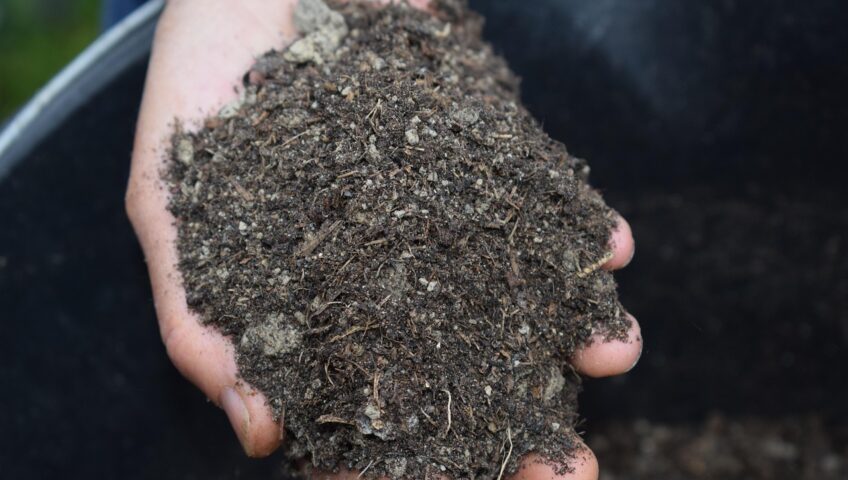 mulch, bokashi, earth, nature, grow, green, outside, natural, plant, agriculture, environment, eco-friendly, organic, the future, gardening, garden, mulch, mulch, mulch, mulch, mulch, bokashi