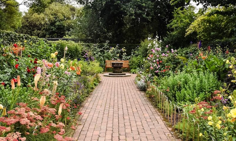 brown brick pathway between green plants during daytime