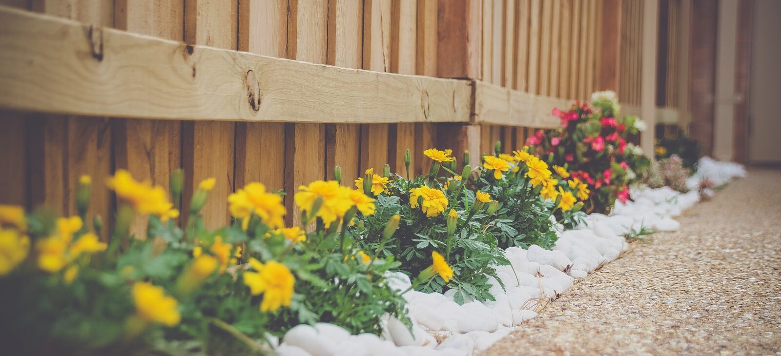 Your lawn and landscape
the way that it should