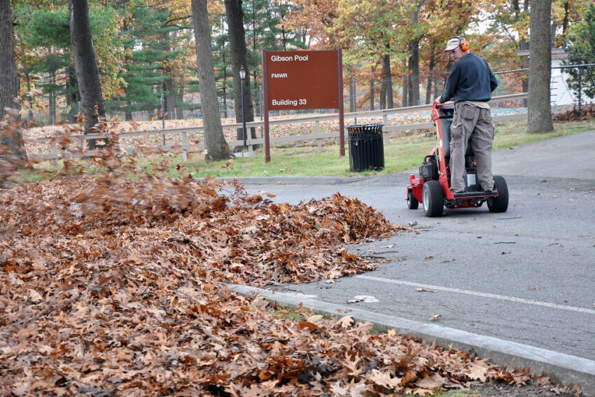 Spring & Fall Cleanup